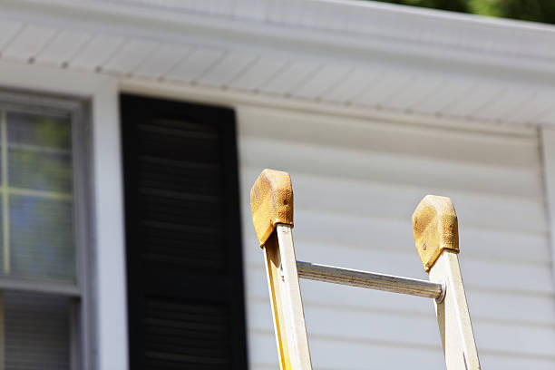 Best Storm Damage Siding Repair  in Marinette, WI